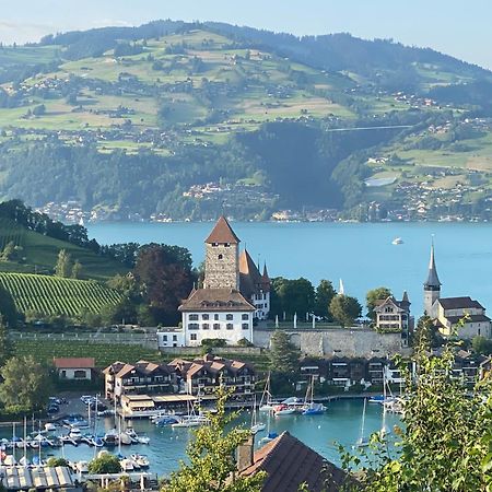 Herrlicher Blick Auf Berge Und See Faulensee Buitenkant foto