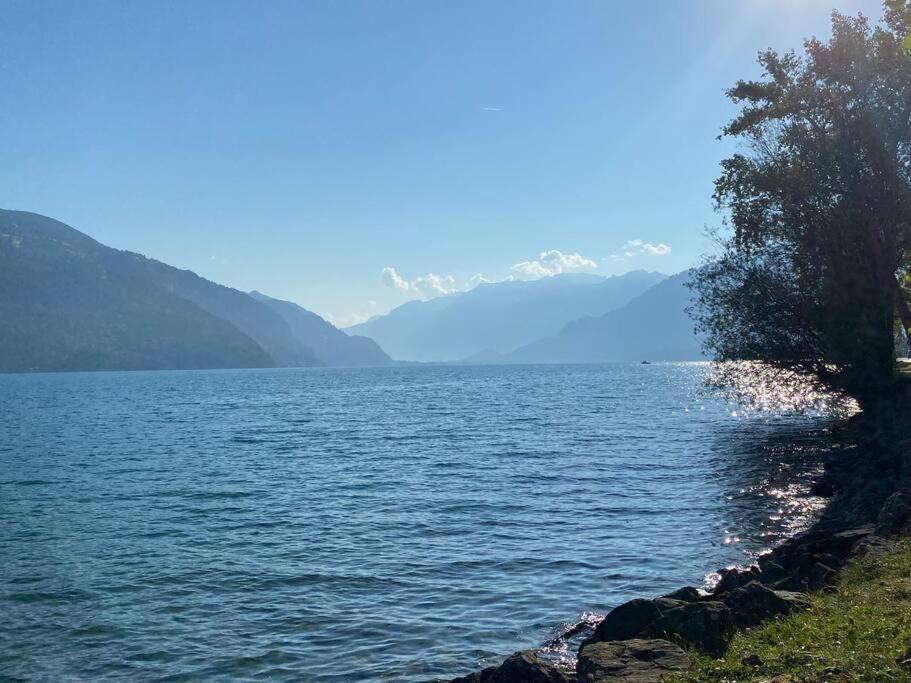 Herrlicher Blick Auf Berge Und See Faulensee Buitenkant foto