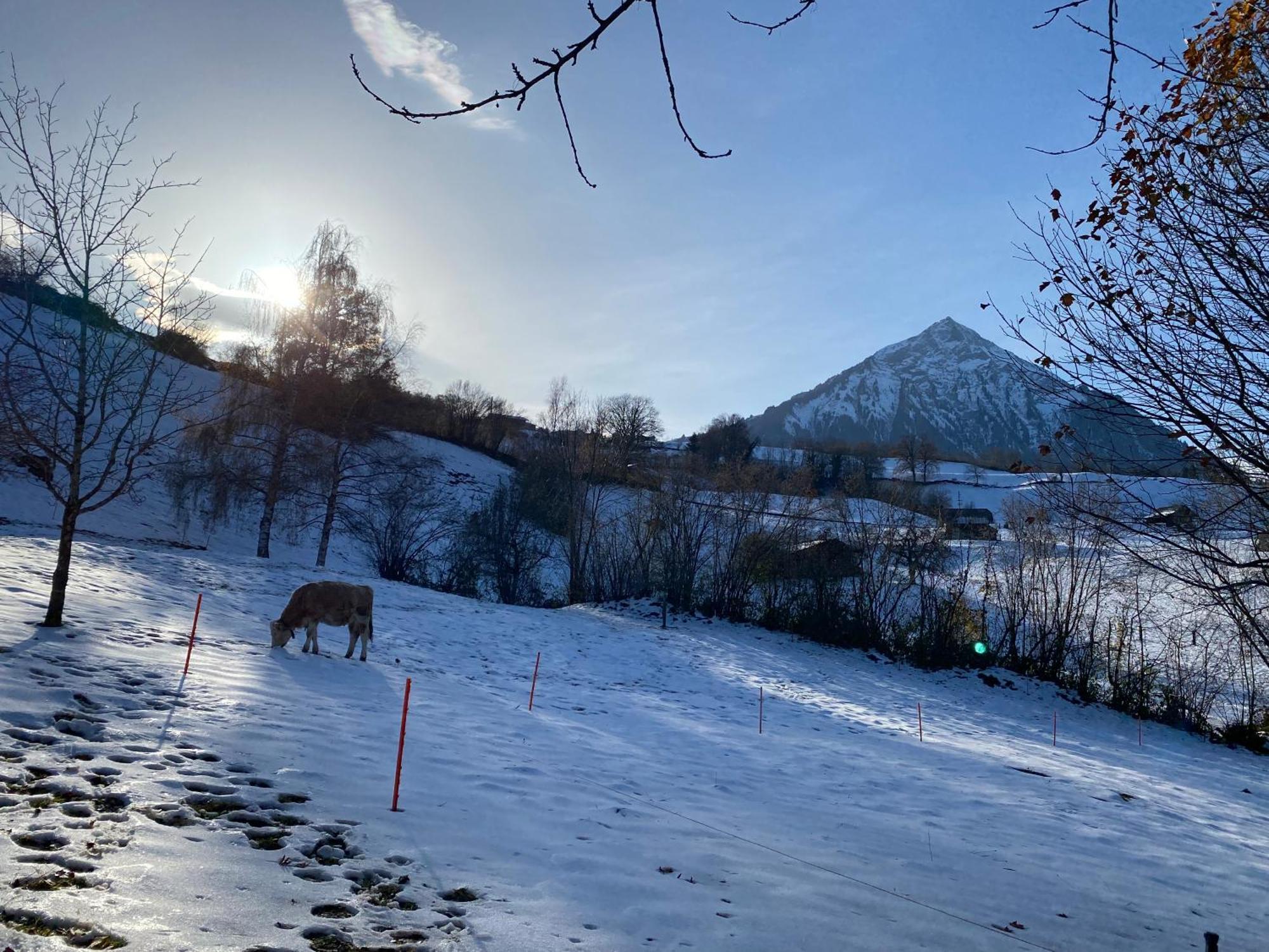 Herrlicher Blick Auf Berge Und See Faulensee Buitenkant foto